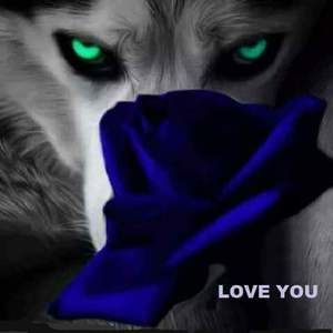 Meet your Posher, Jean